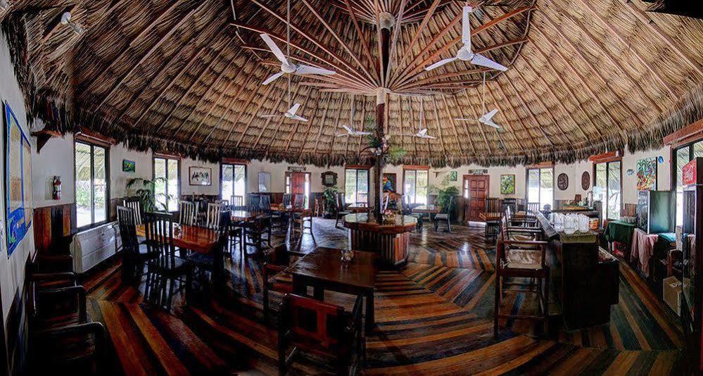 Blackbird Caye Resort Turneffe Atoll Extérieur photo