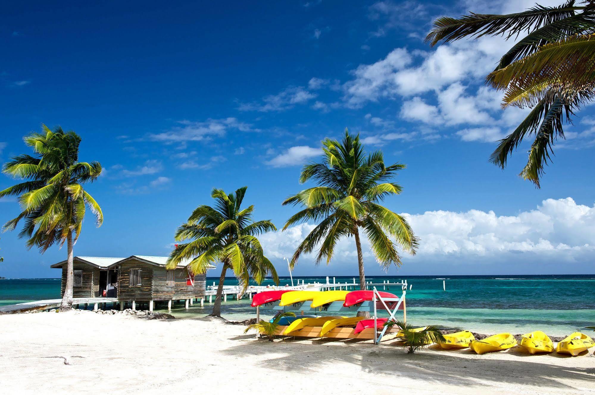 Blackbird Caye Resort Turneffe Atoll Extérieur photo
