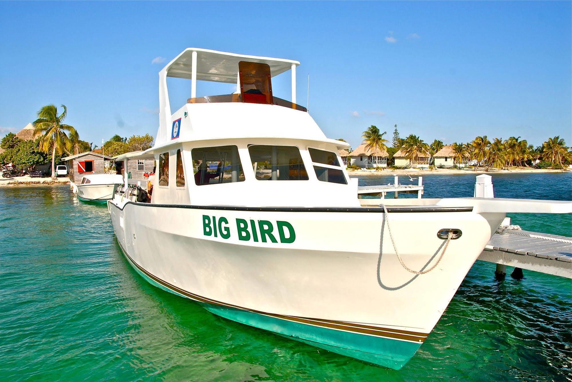 Blackbird Caye Resort Turneffe Atoll Extérieur photo