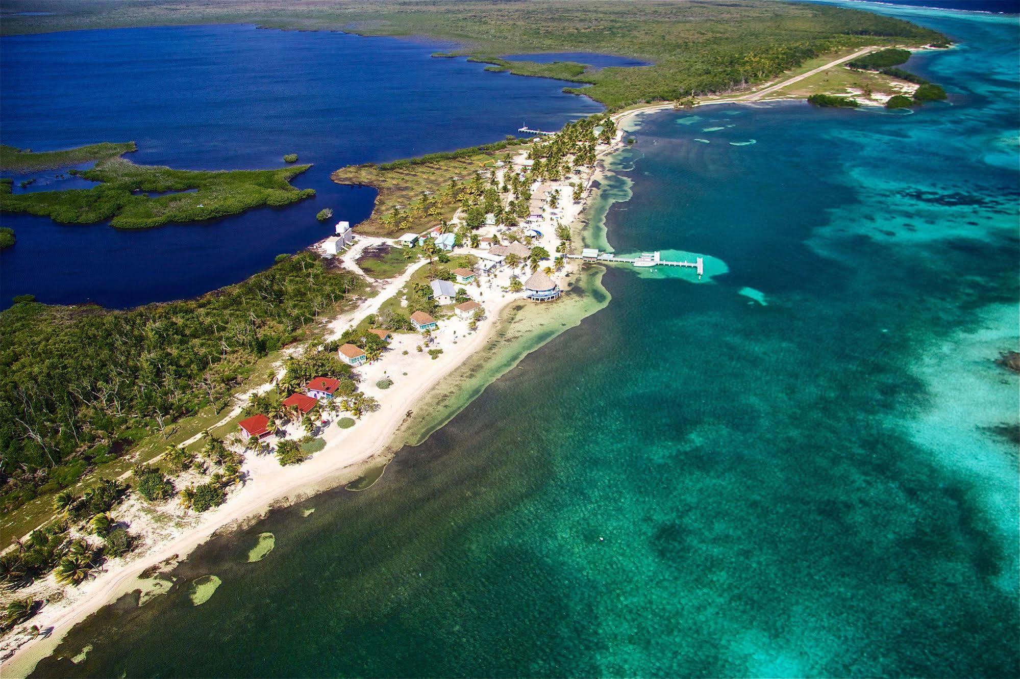 Blackbird Caye Resort Turneffe Atoll Extérieur photo