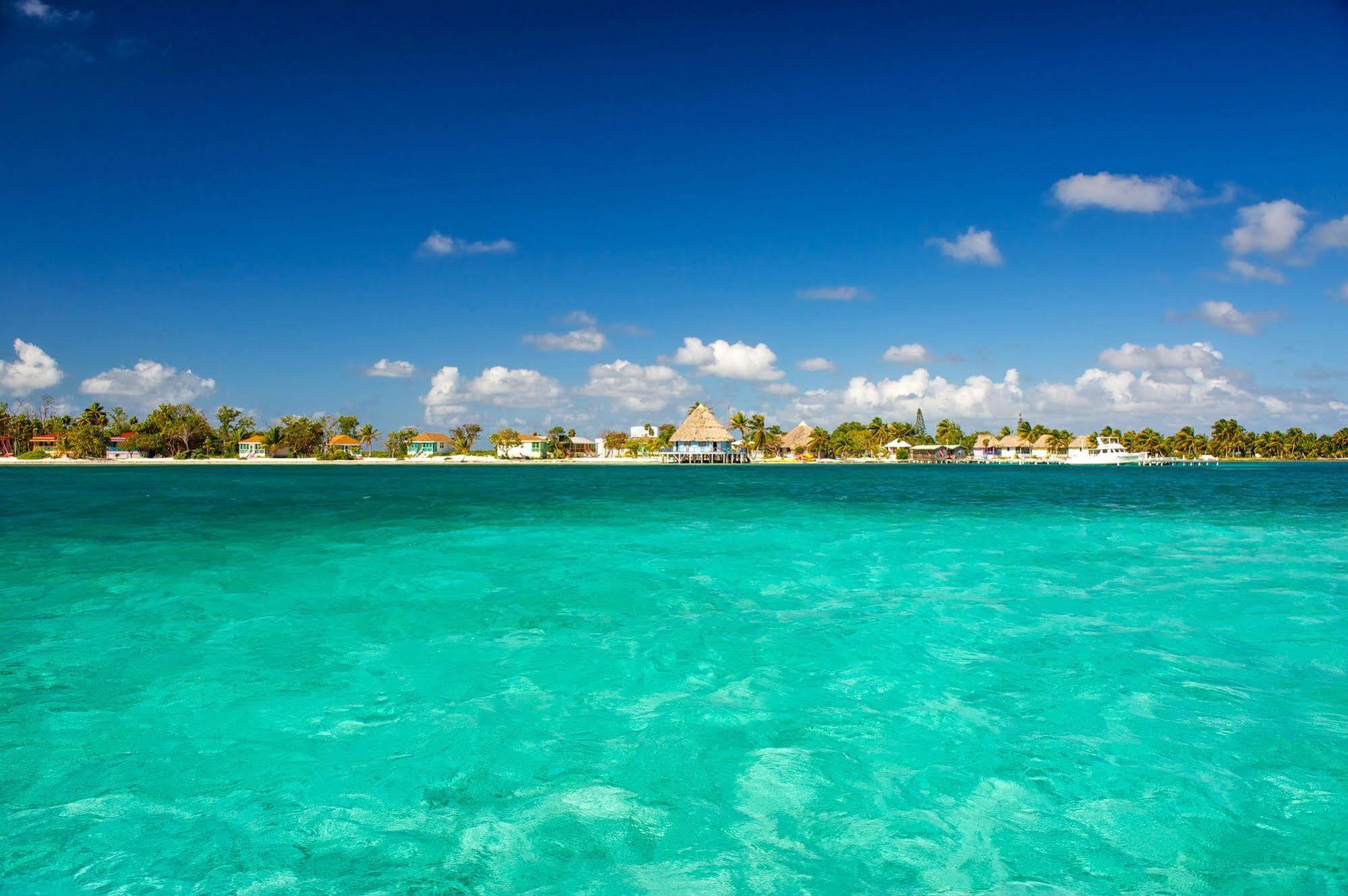 Blackbird Caye Resort Turneffe Atoll Extérieur photo