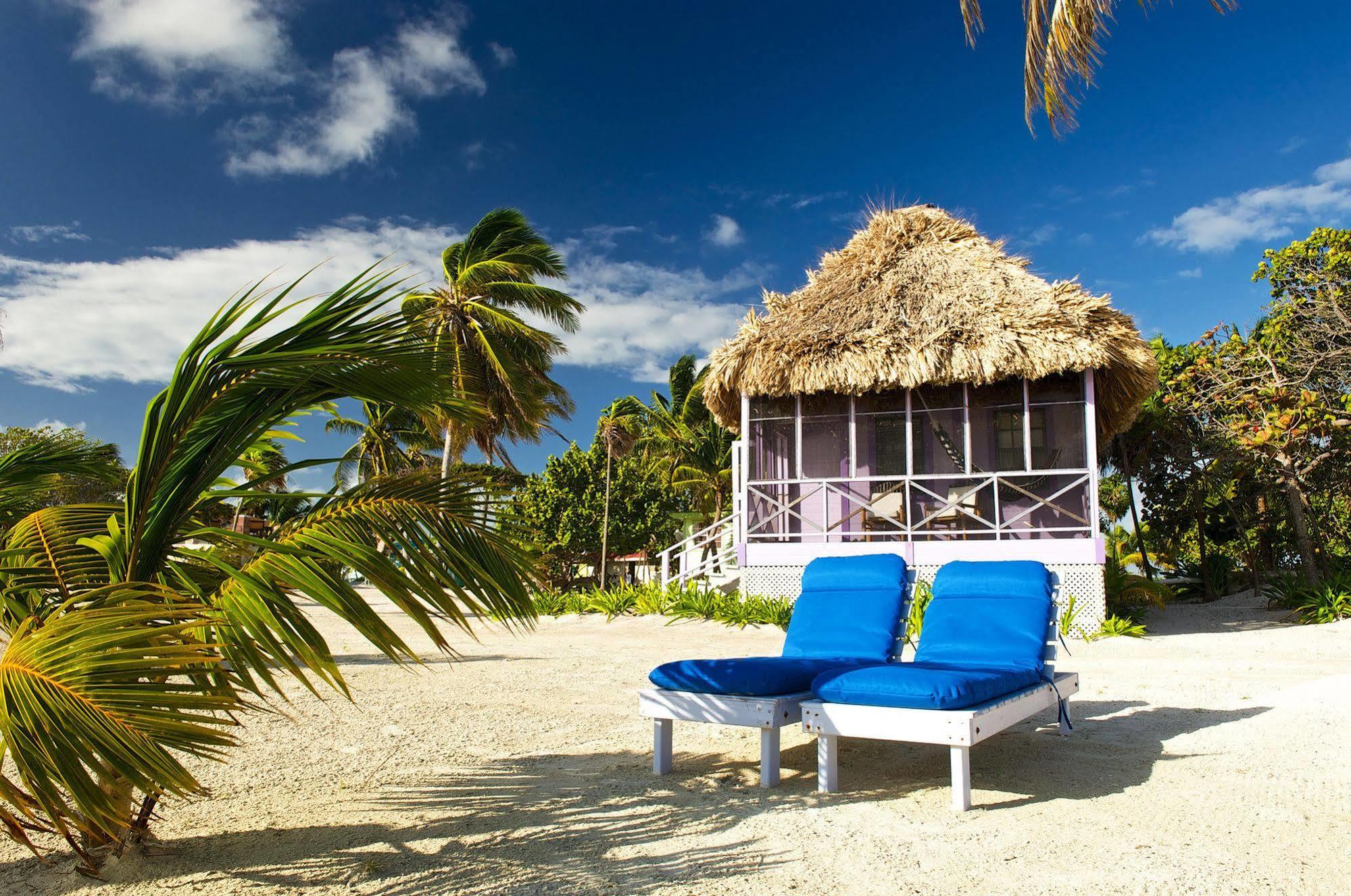 Blackbird Caye Resort Turneffe Atoll Extérieur photo