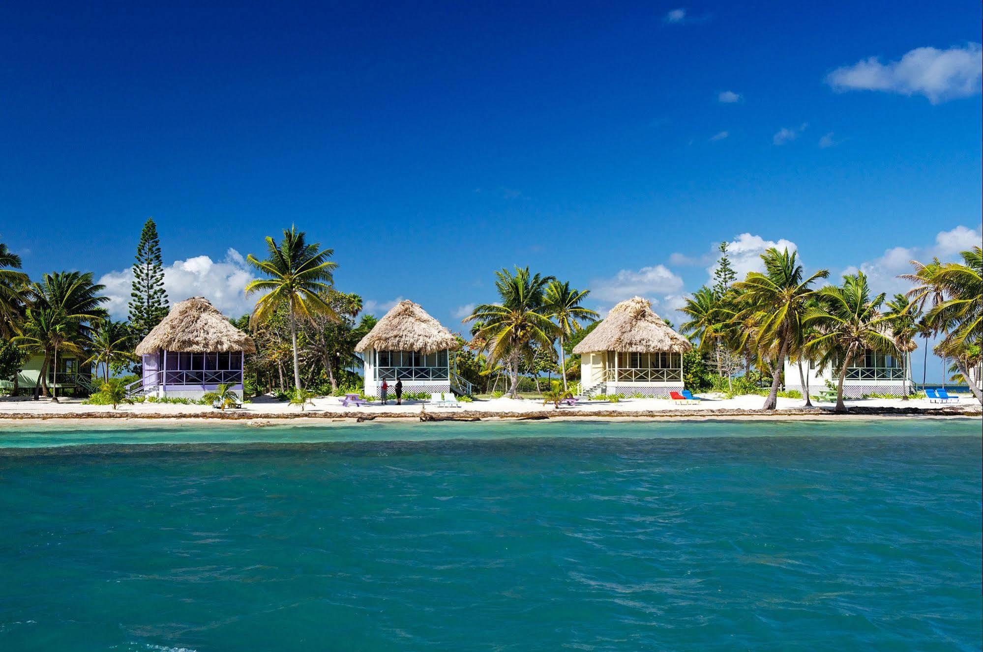 Blackbird Caye Resort Turneffe Atoll Extérieur photo