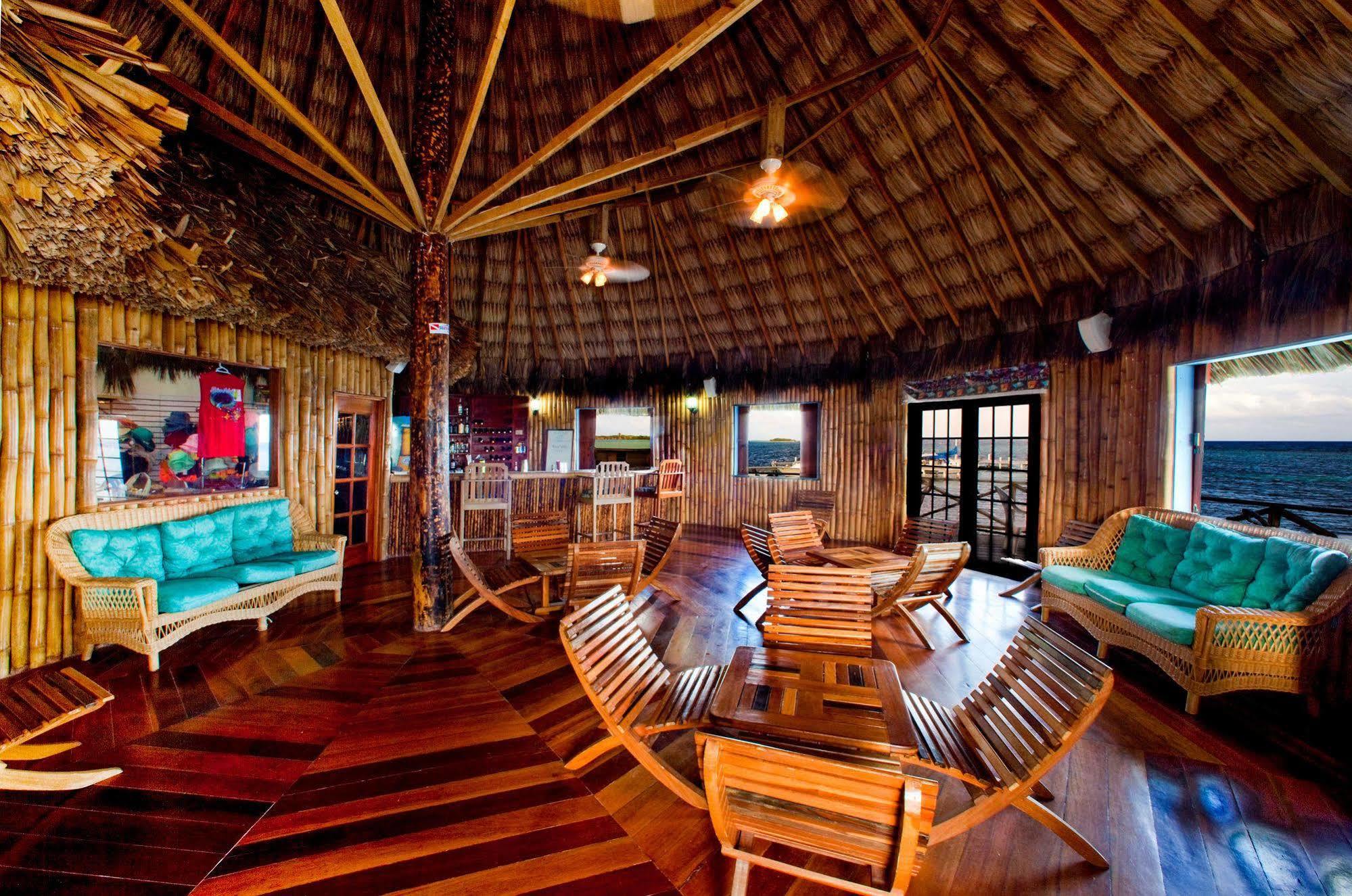 Blackbird Caye Resort Turneffe Atoll Extérieur photo